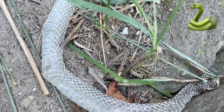 246475411_198586119084354_3352458092522042105_n