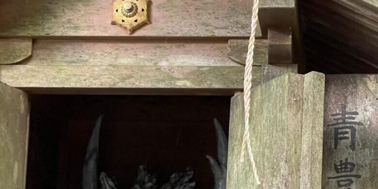 250132549_1031966584252551_1966563587285521453_n