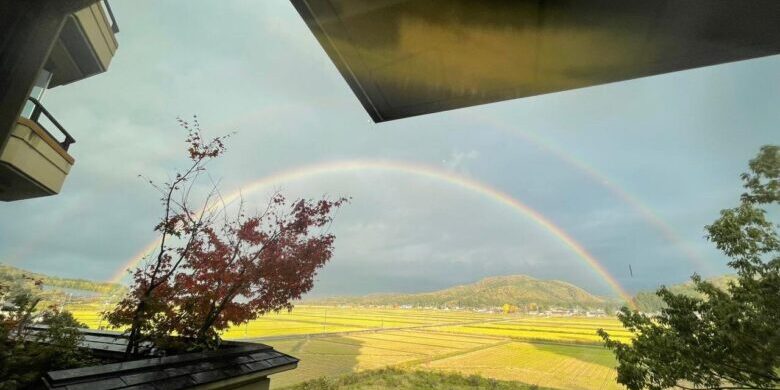 267943372_489782569150205_9111665807253014067_n