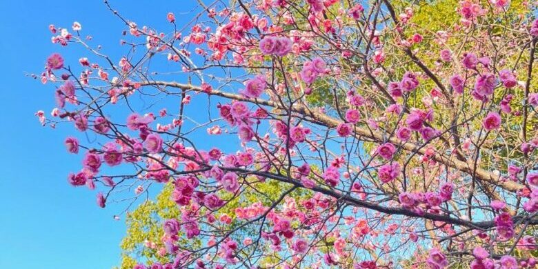 272428849_1595318937494676_4106530239308271314_n