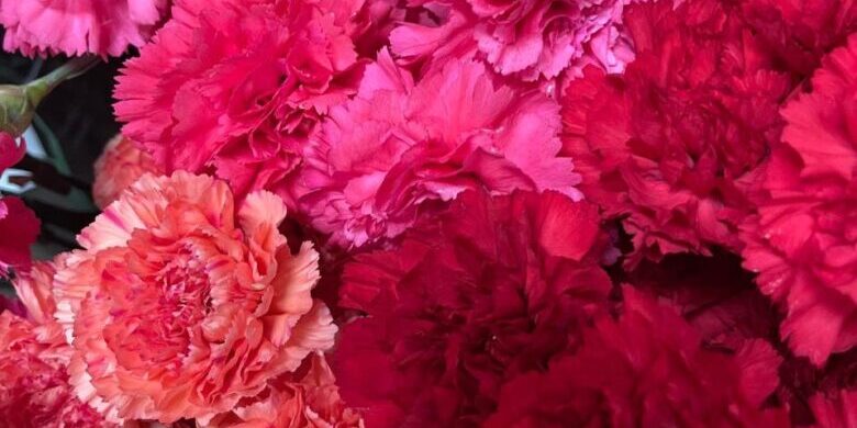 278954864_2380669698755216_4590648869143001451_n