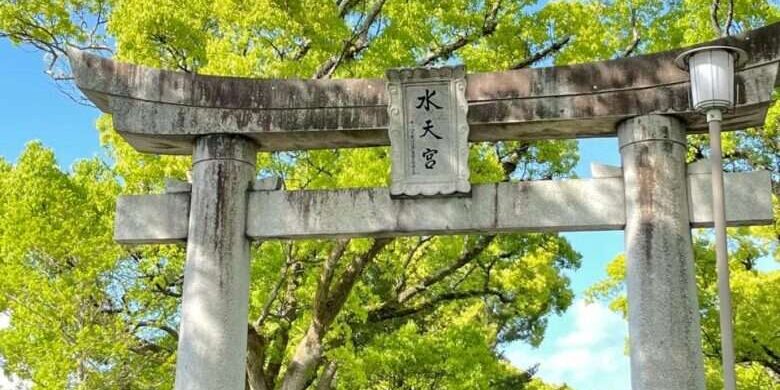 279132010_687547632483223_4679683639106148899_n