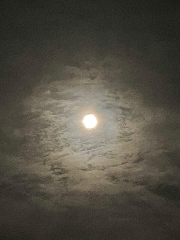 280061585_527538569076252_6826356736738416969_n