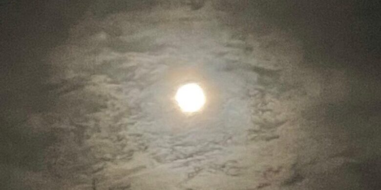 280061585_527538569076252_6826356736738416969_n