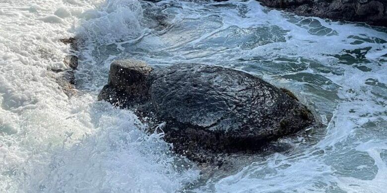 282319257_349977570535257_8805658881568498898_n