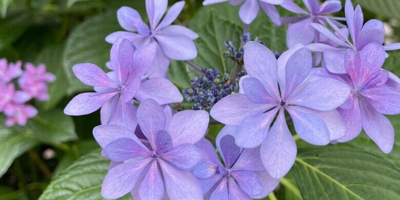 285813941_381102104002688_7970475578487812152_n