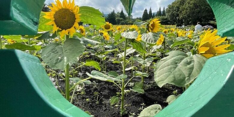 292422126_770965567651620_909931343941392720_n