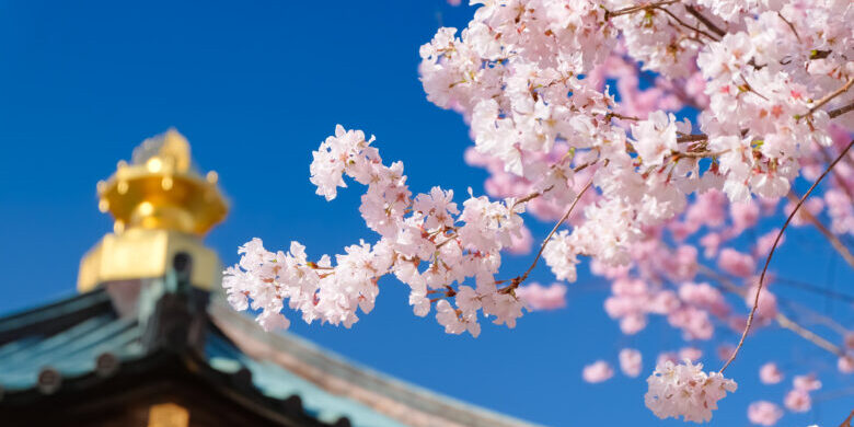 蕨市 三学院 桜と舎利殿 蕨市 三学院 桜と舎利殿