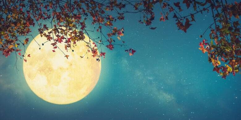 fall season in night skies background concept.