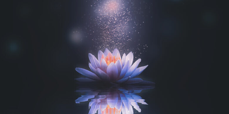 Abstract background with lotus flower