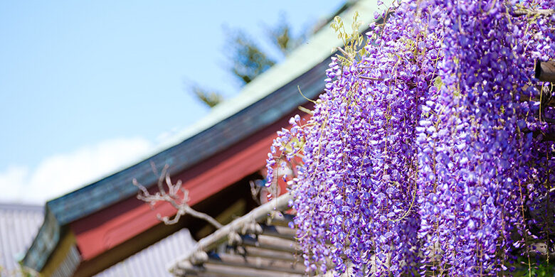 AdobeStock_375494215