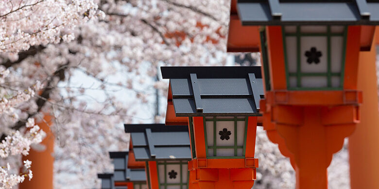 AdobeStock_387523294