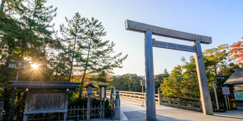 AdobeStock_393773443